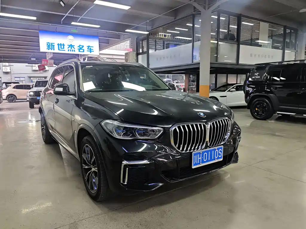 BMW X5 — миниатюра 3