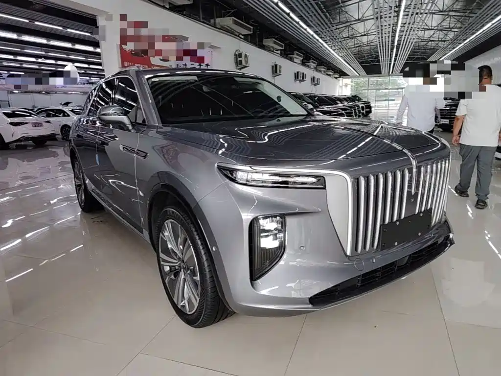 Hongqi Hongqi E-HS9 — миниатюра 4