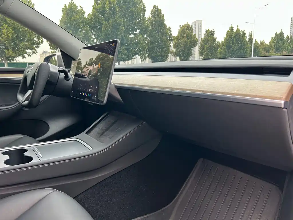 Tesla Model Y — миниатюра 7