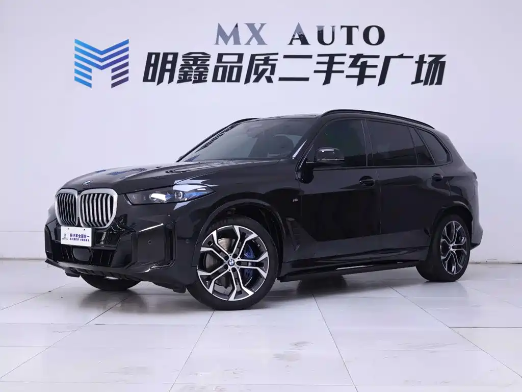 BMW X5 — миниатюра 2