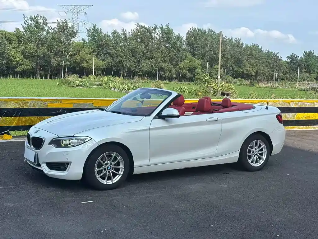 BMW 2 Series (Import)
