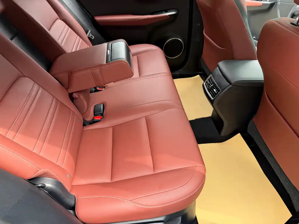 Lexus NX — миниатюра 16