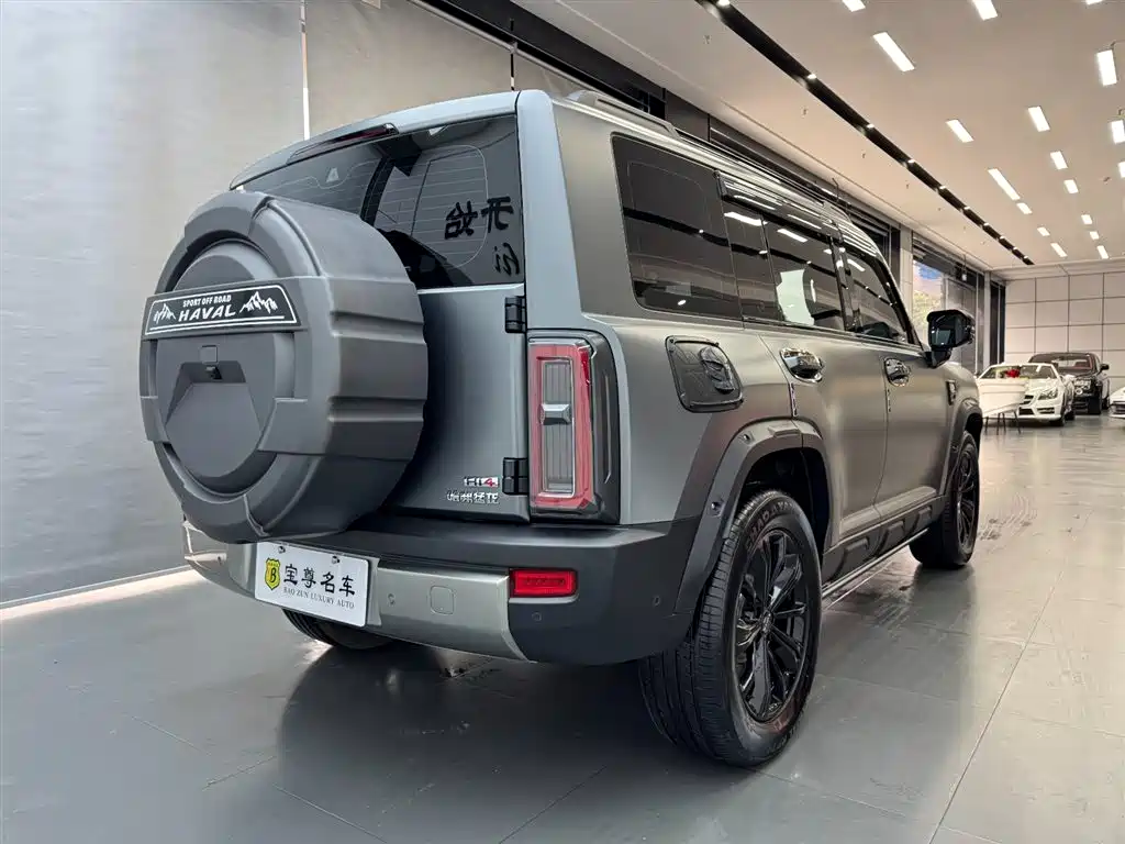 HAVAL RAPTORS NEW ENERGY