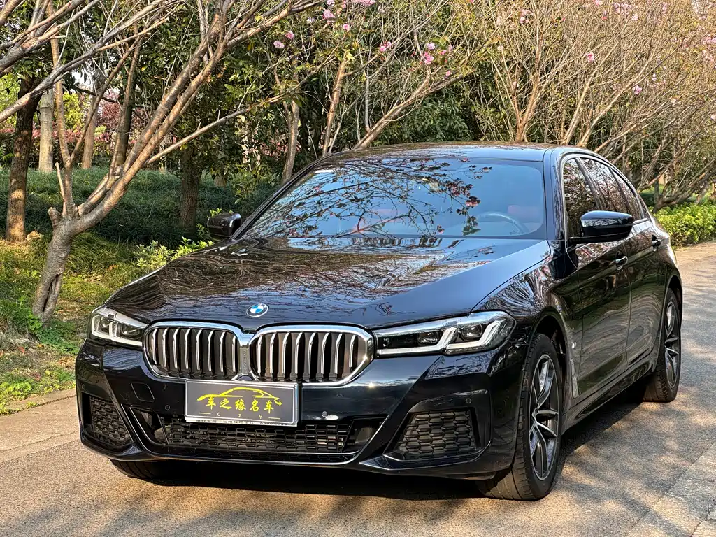 BMW 5 Series 2022