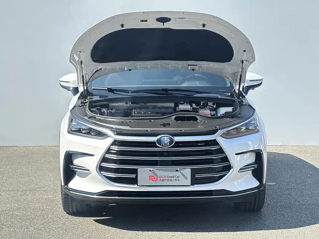 BYD Tang New Energy — миниатюра 7