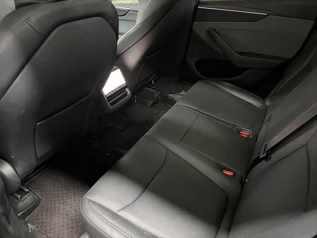 Tesla Model Y — миниатюра 8