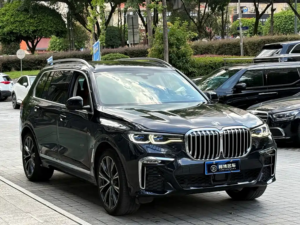 BMW X7 — миниатюра 3