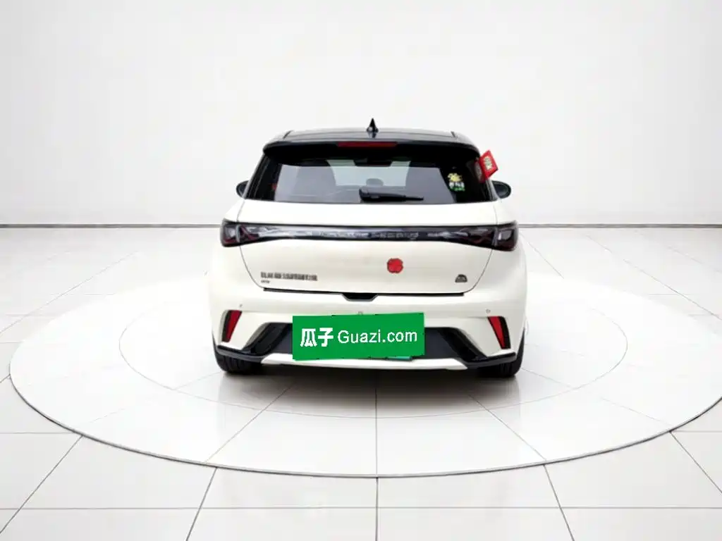 BYD Dolphin — миниатюра 5