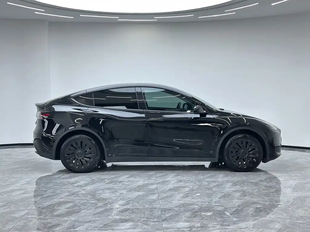 Tesla Model Y — миниатюра 9