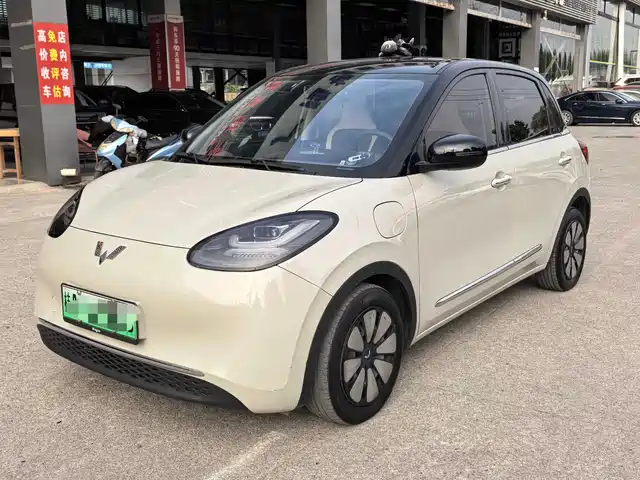 WULING WULING BINGGUO 2024