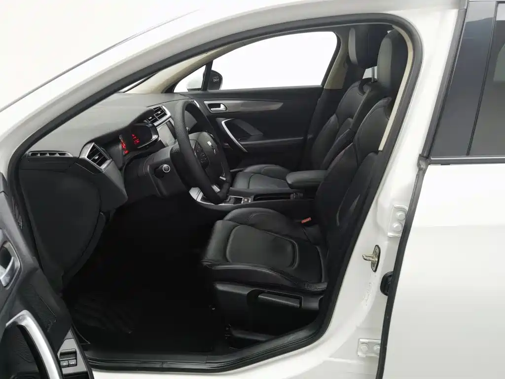 DS DS 5LS — миниатюра 10