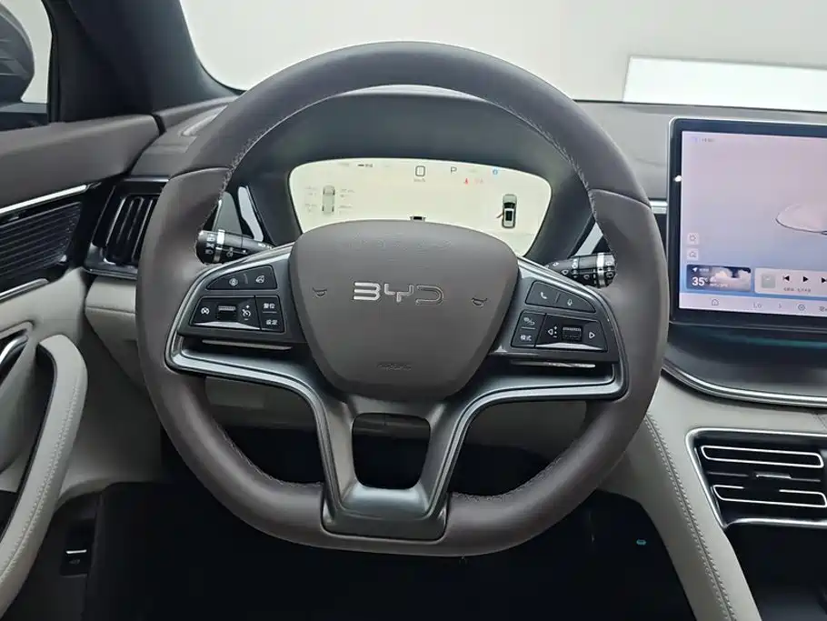 BYD PLUS New Energy — миниатюра 15