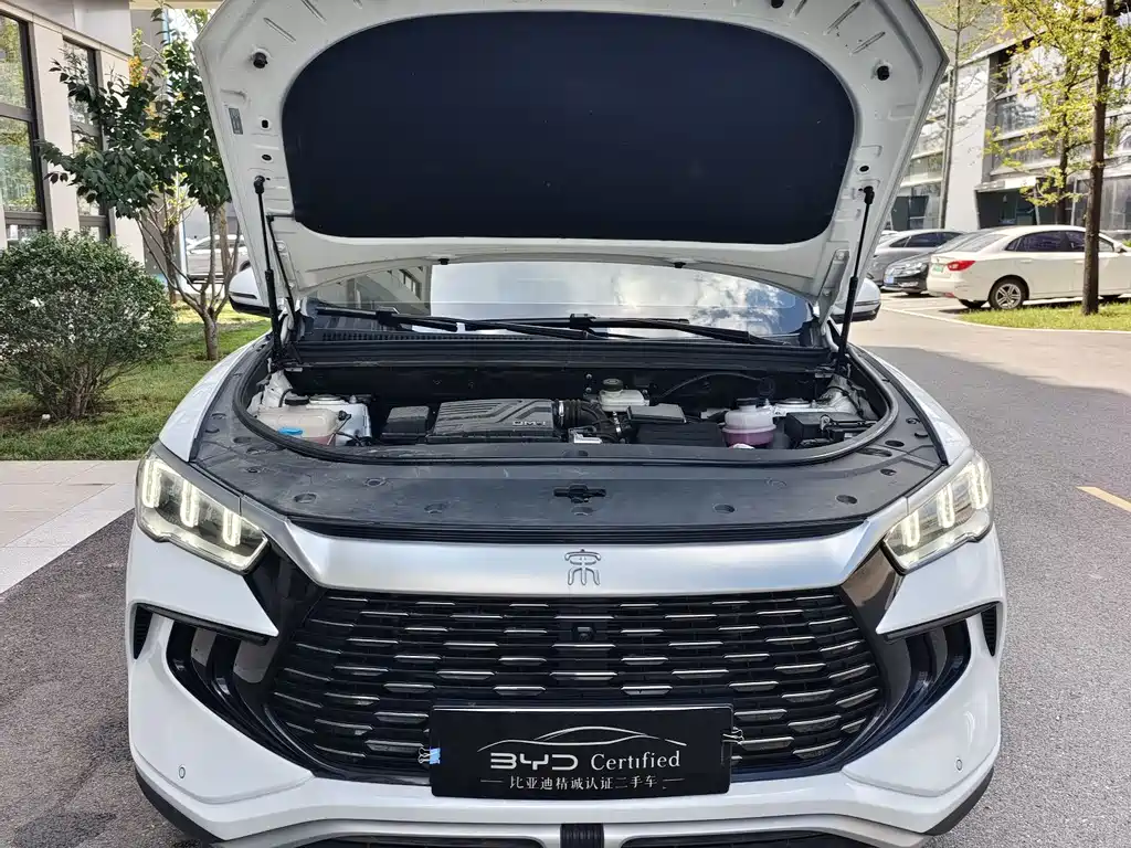 BYD Pro New Energy — миниатюра 2