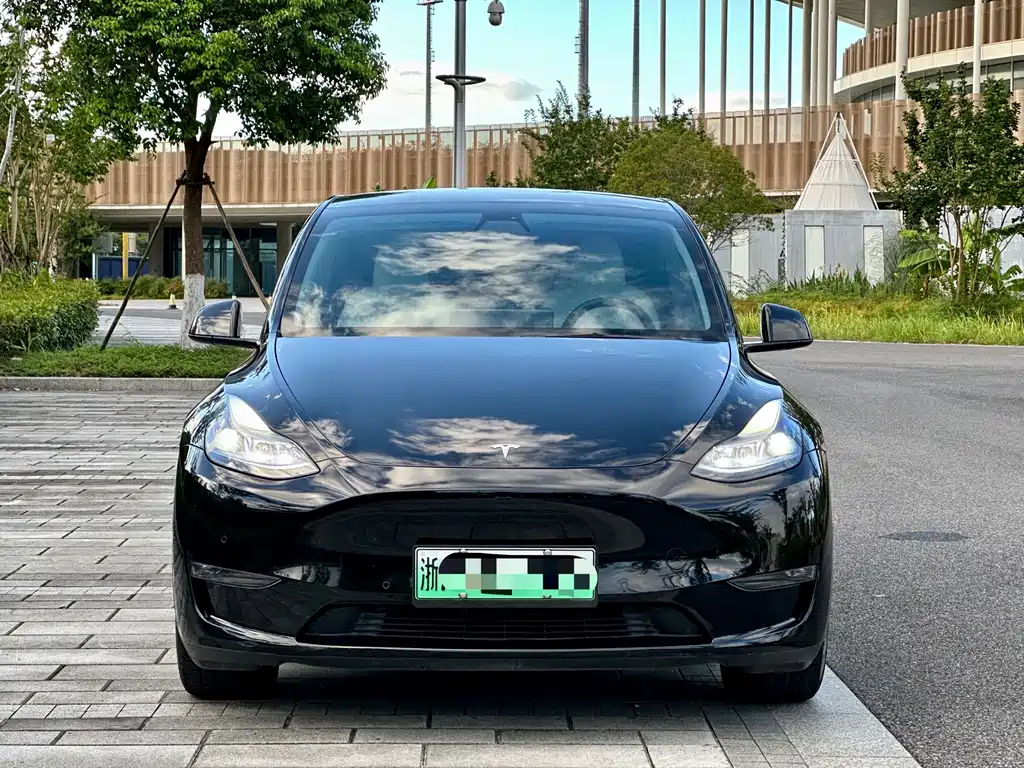 Tesla Model Y — миниатюра 2