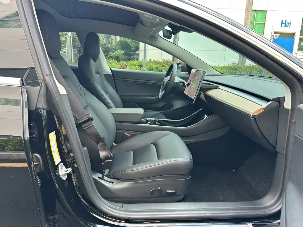 Tesla Model 3 — миниатюра 13
