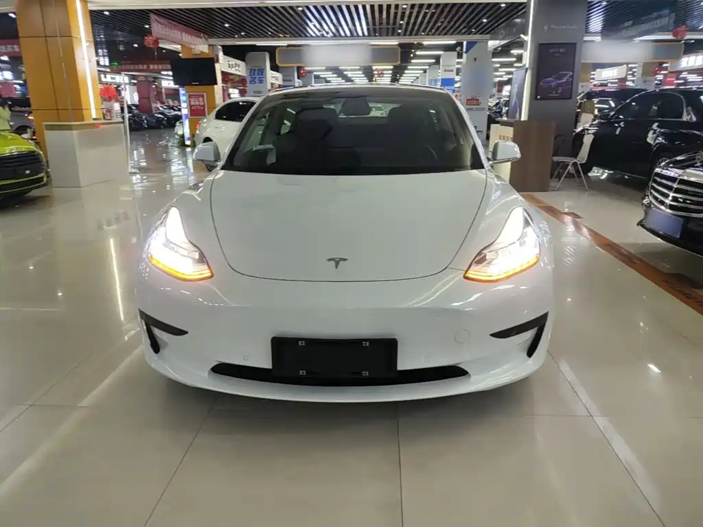 Tesla Model 3 — миниатюра 3