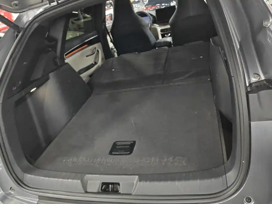 BYD PLUS New Energy — миниатюра 4