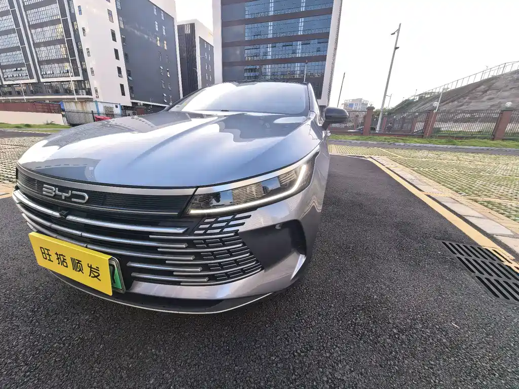 BYD Destroyer 05 — миниатюра 22