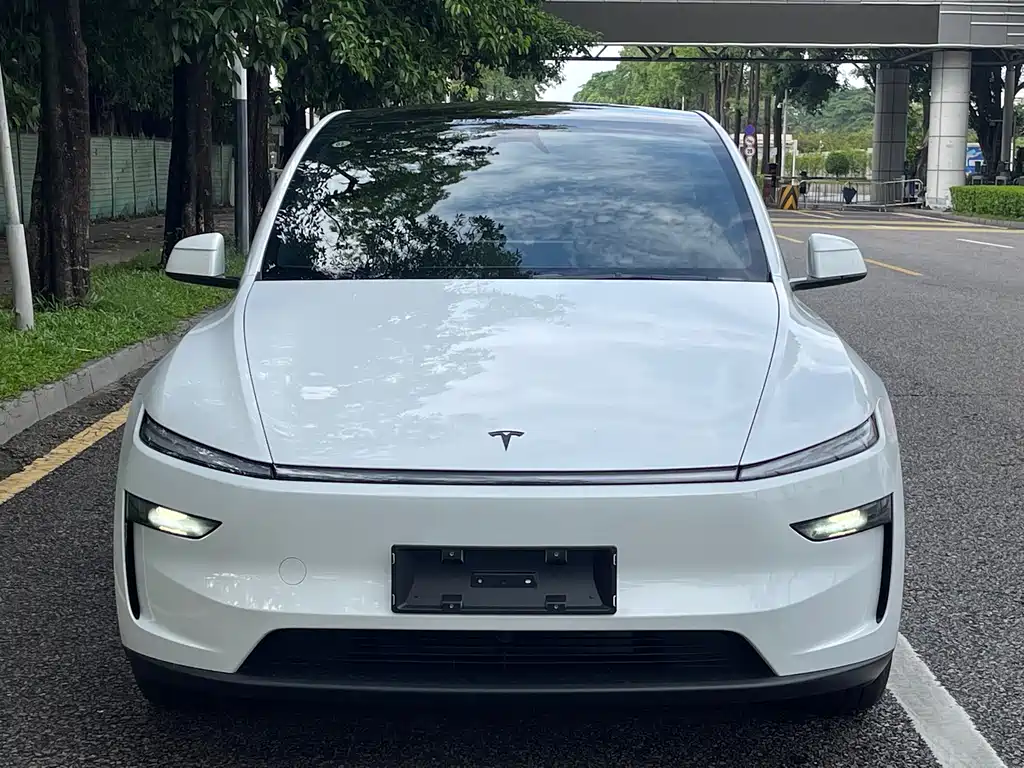 Tesla Model Y — миниатюра 2