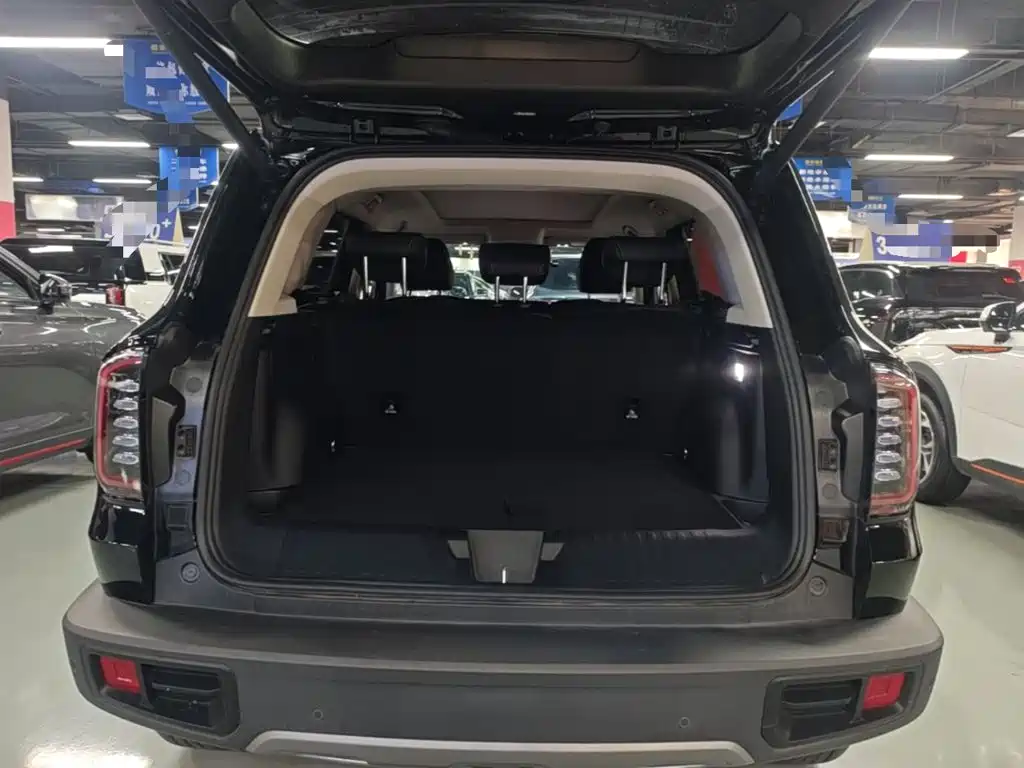 Haval Big Dog — миниатюра 19