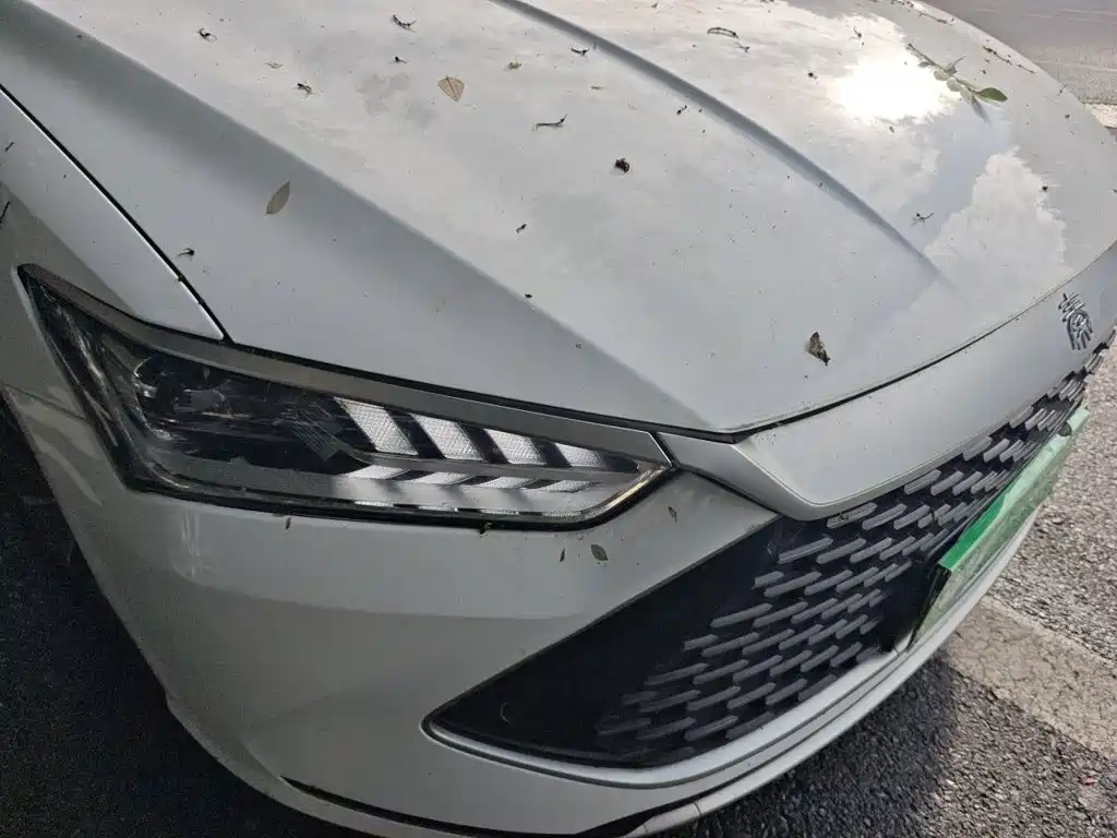 BYD Qin PLUS — миниатюра 7