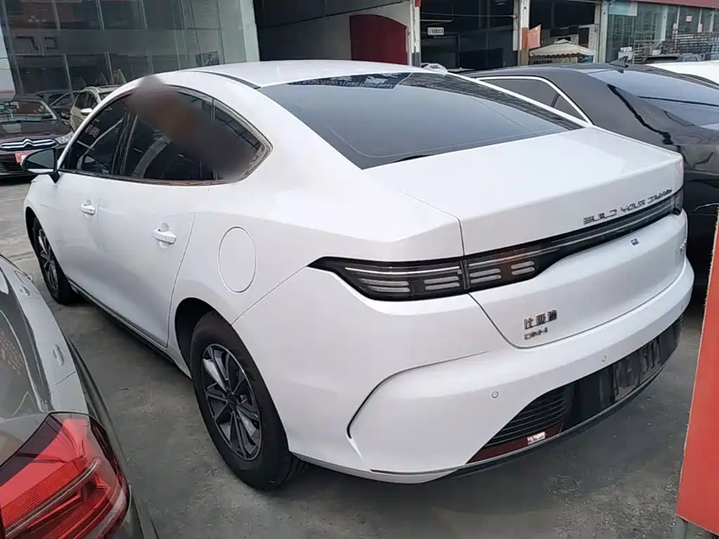 BYD Destroyer 05 2024 DM-i 55KM Luxury
