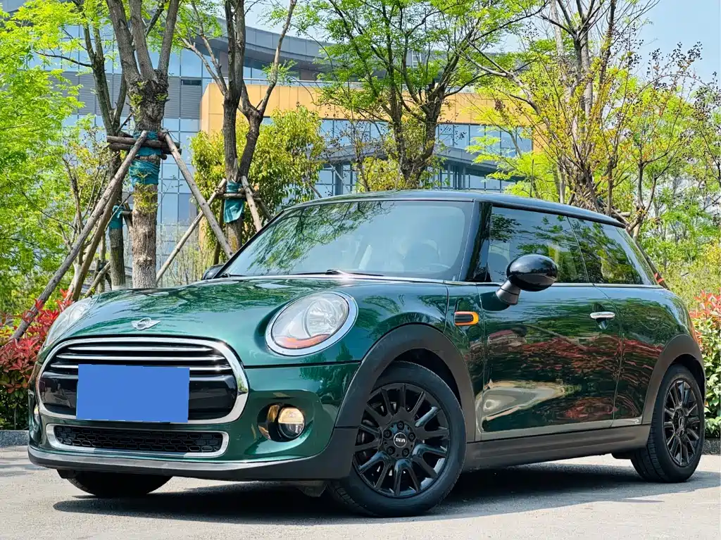 Mini Mini 2014