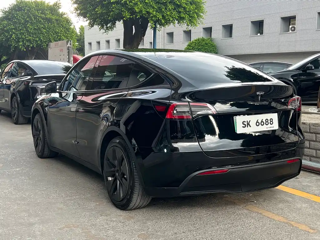 Tesla Model Y — миниатюра 5