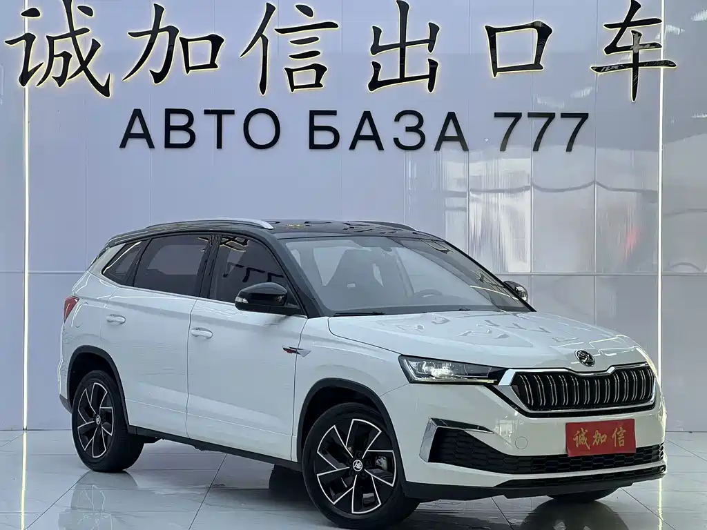 Skoda Kamiq — миниатюра 3
