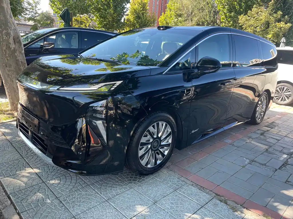 Buick Electra Encasa