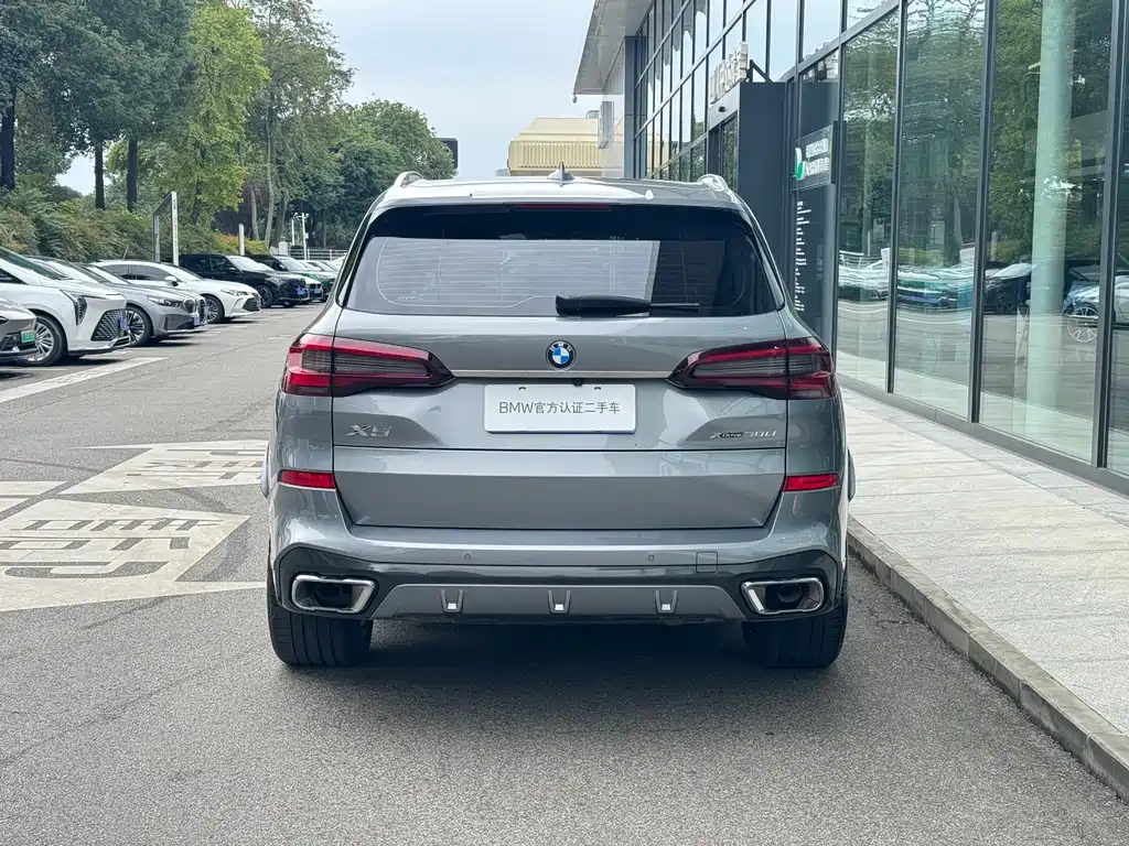 BMW X5 — миниатюра 6