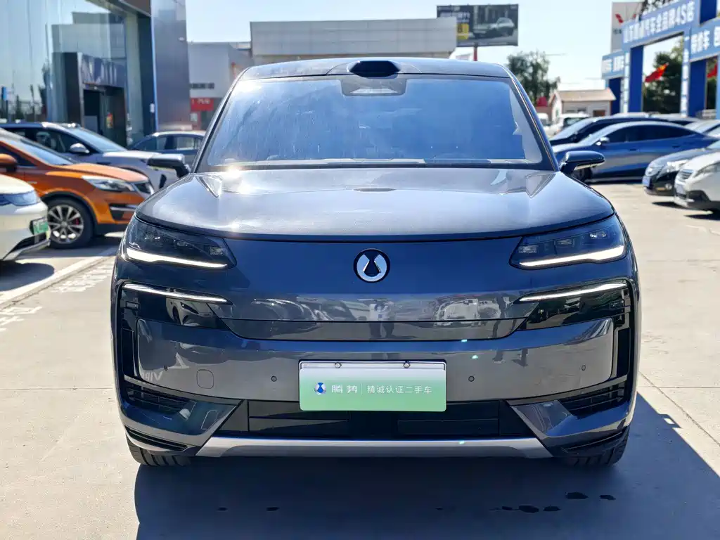 Denza Denza N9 — миниатюра 2