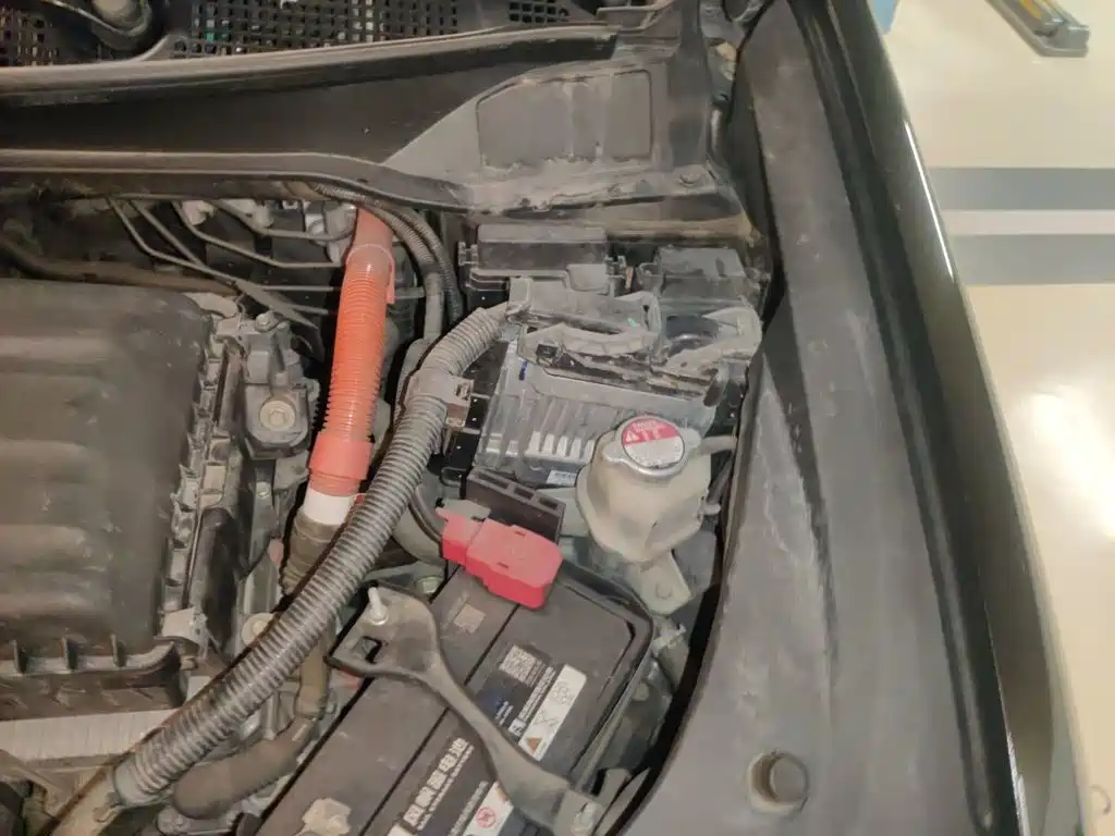 Honda Elysion — миниатюра 21