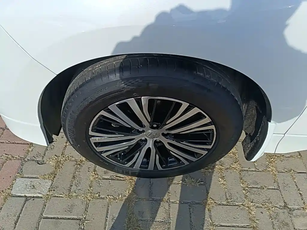 Honda Avancier — миниатюра 23