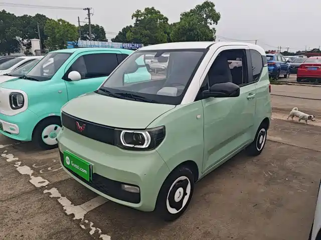 2021 Wuling Motors Hongguang Mini EV
