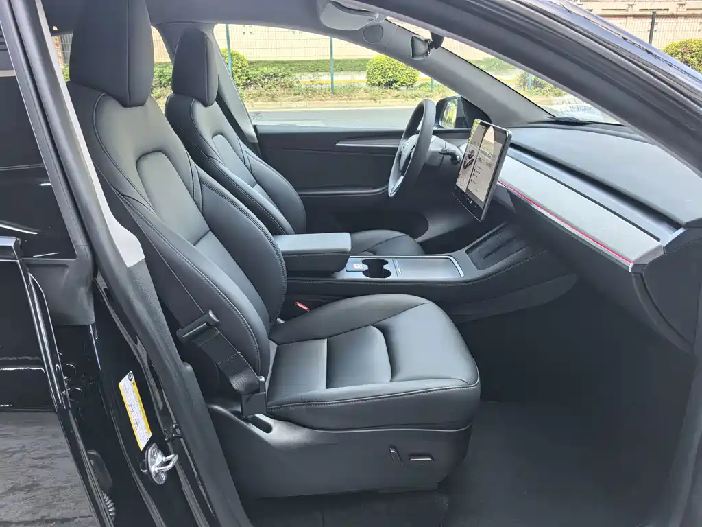 Tesla Model Y — миниатюра 7