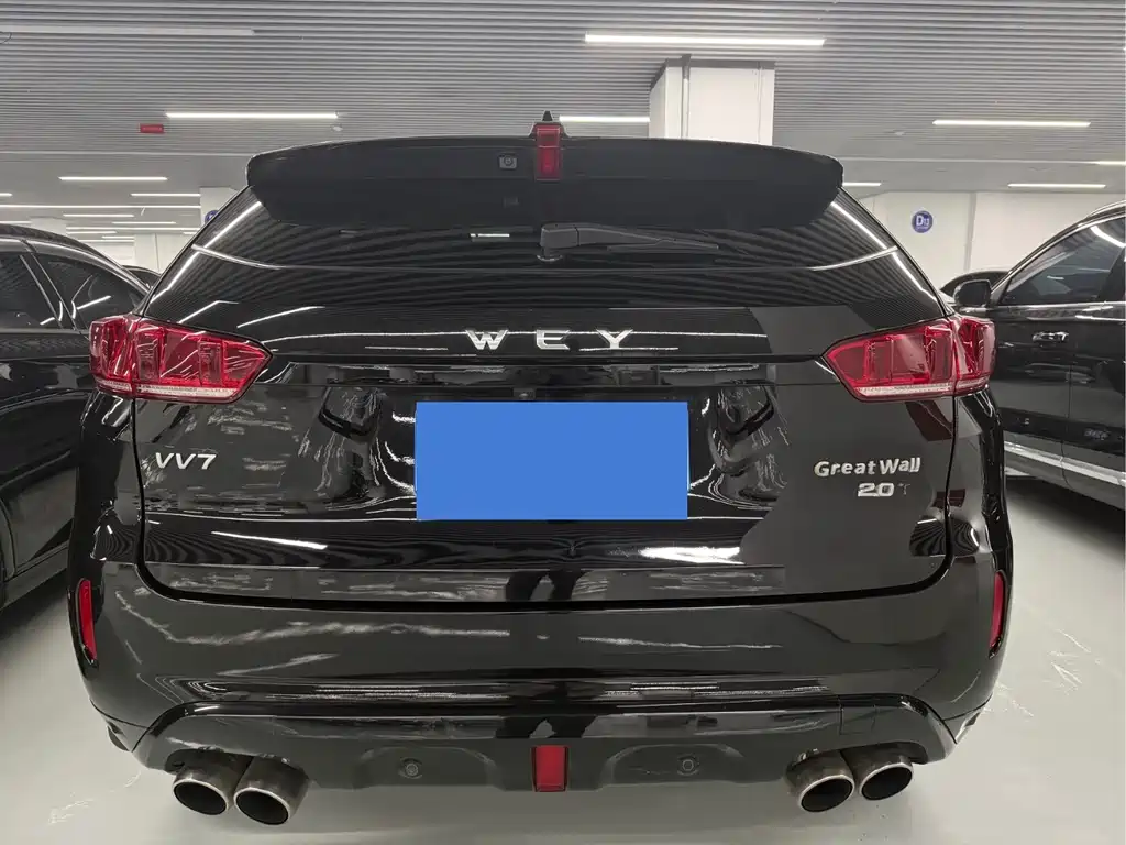 WEI PAI WEI BRAND VV7