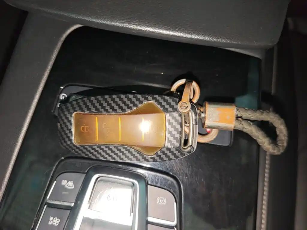 BYD Pro — миниатюра 9