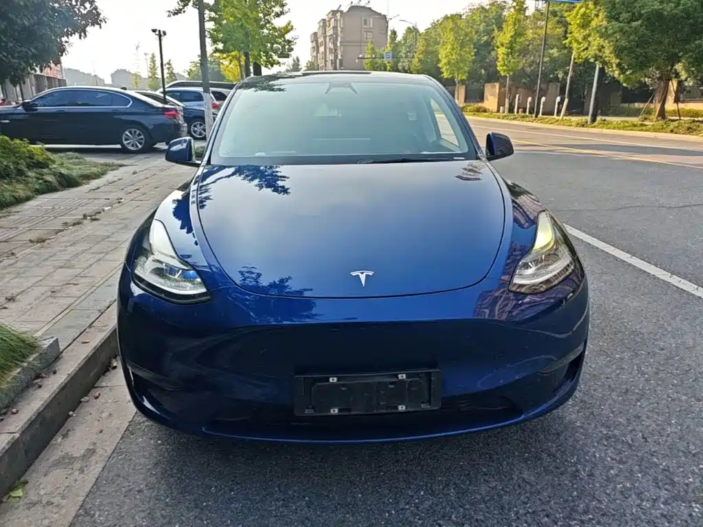 Tesla Model Y — миниатюра 3
