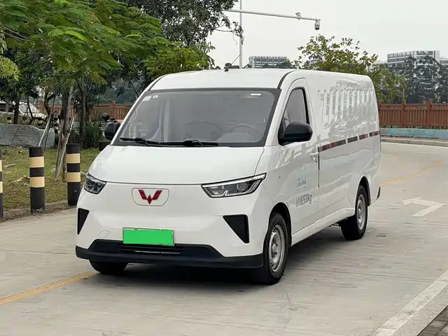 WULING WULING YANGGUANG 2024