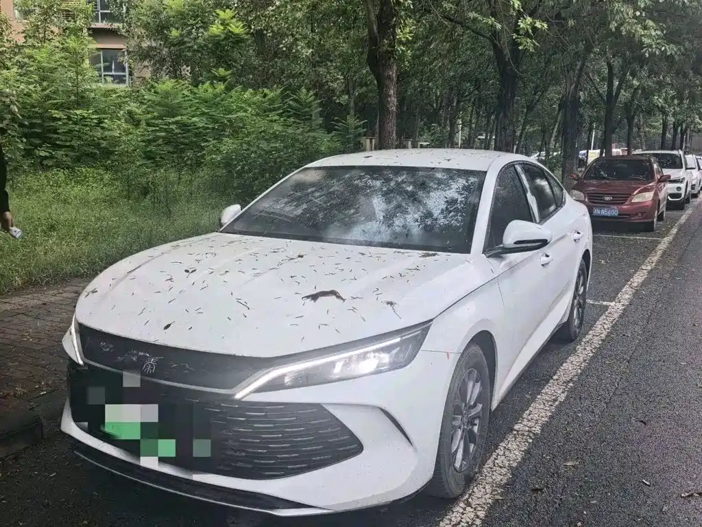 BYD Qin L