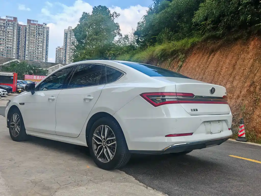 BYD Qin Pro NEV — миниатюра 10
