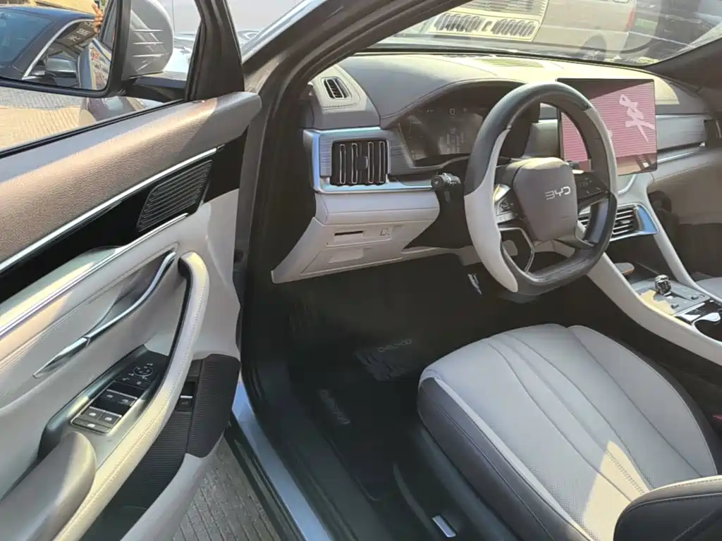 BYD PLUS New Energy — миниатюра 16