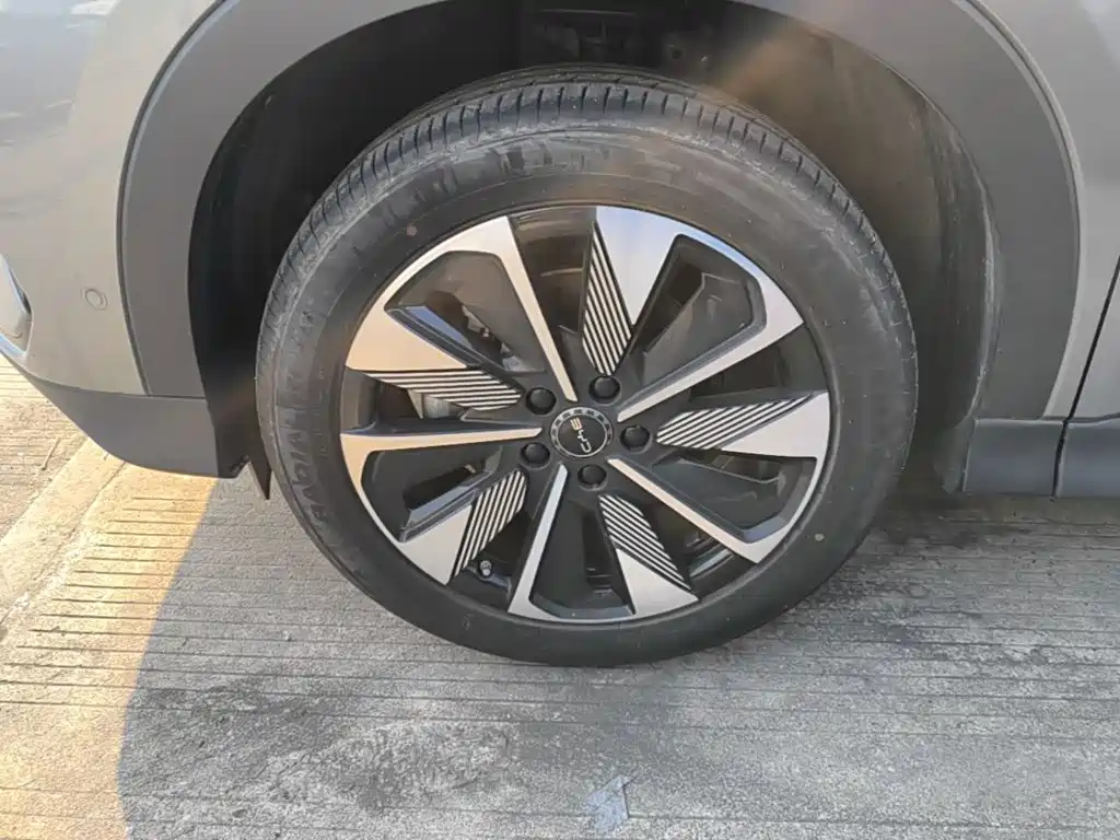 BYD PLUS New Energy — миниатюра 23