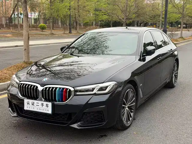 BMW 5 SERIES