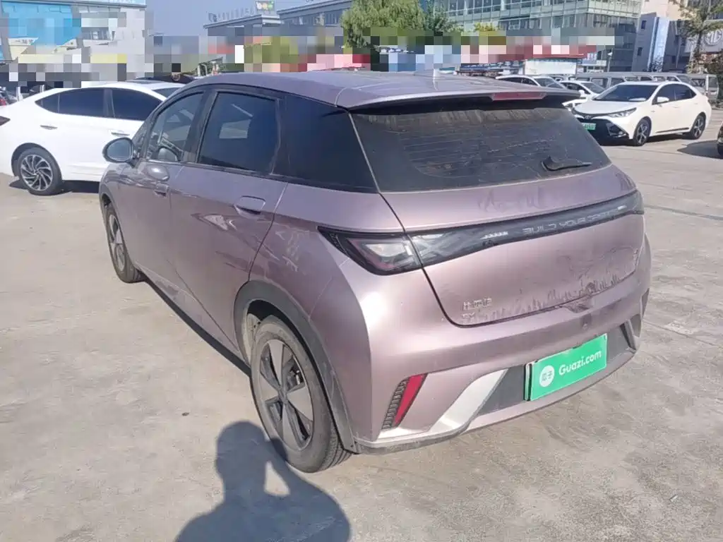 BYD Dolphin — миниатюра 5