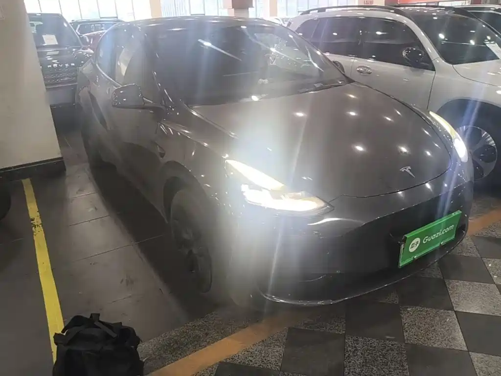 Tesla Model Y — миниатюра 4