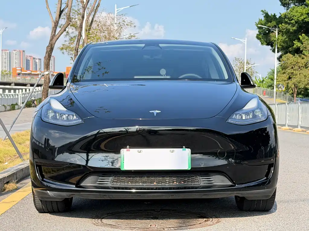 Tesla Model Y — миниатюра 2