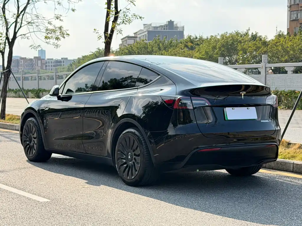 Tesla Model Y — миниатюра 12
