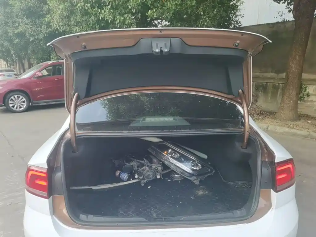 Volkswagen Lamando — миниатюра 19